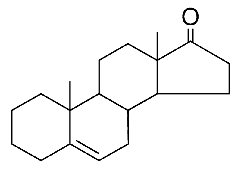 Merck ANDROST-5-EN-17-ONE-