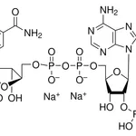 Merck beta-Nicotinamide adenine dinucleotide phosphate disodium salt