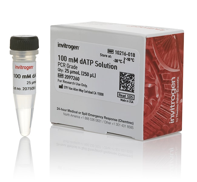 Thermo Fisher Scientific dATP (100 mM)