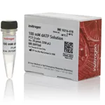 Thermo Fisher Scientific dATP (100 mM)