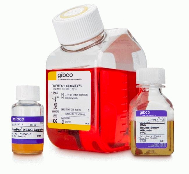 Thermo Fisher Scientific StemPro hESC SFM