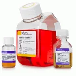 Thermo Fisher Scientific StemPro hESC SFM