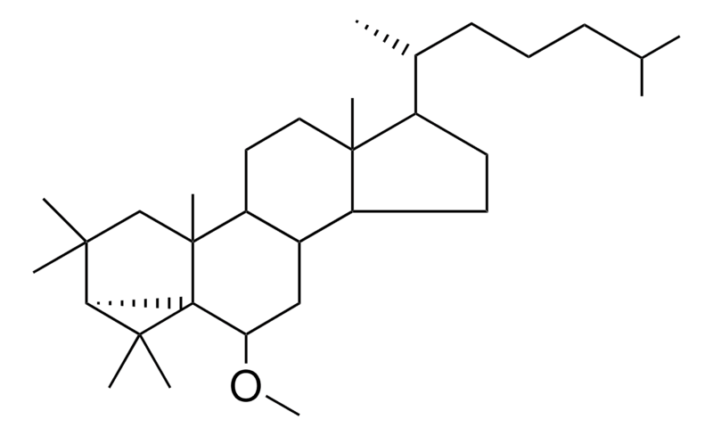 Merck 2,2,4,4-TETRAMETHYL-3-ALPHA,5- - 1 MG&