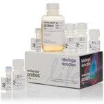 Thermo Fisher Scientific Click-iT EdU Alexa Fluor 488 Flow Cytometry Assay Kit, 100 assays