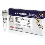 Thermo Fisher Scientific Ecl136II, PacI, SacI Buffer (10X)