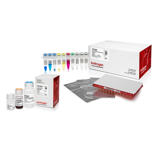 Thermo Fisher Scientific Collibri Stranded RNA Library Prep Kit for Illumina Systems, 24 preps