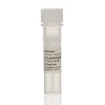 Thermo Fisher Scientific 5-(3-Aminoallyl)-UTP (50 mM)