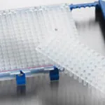 Thermo Fisher Scientific Piko PCR Plate, 96-well, clear, 200 plates