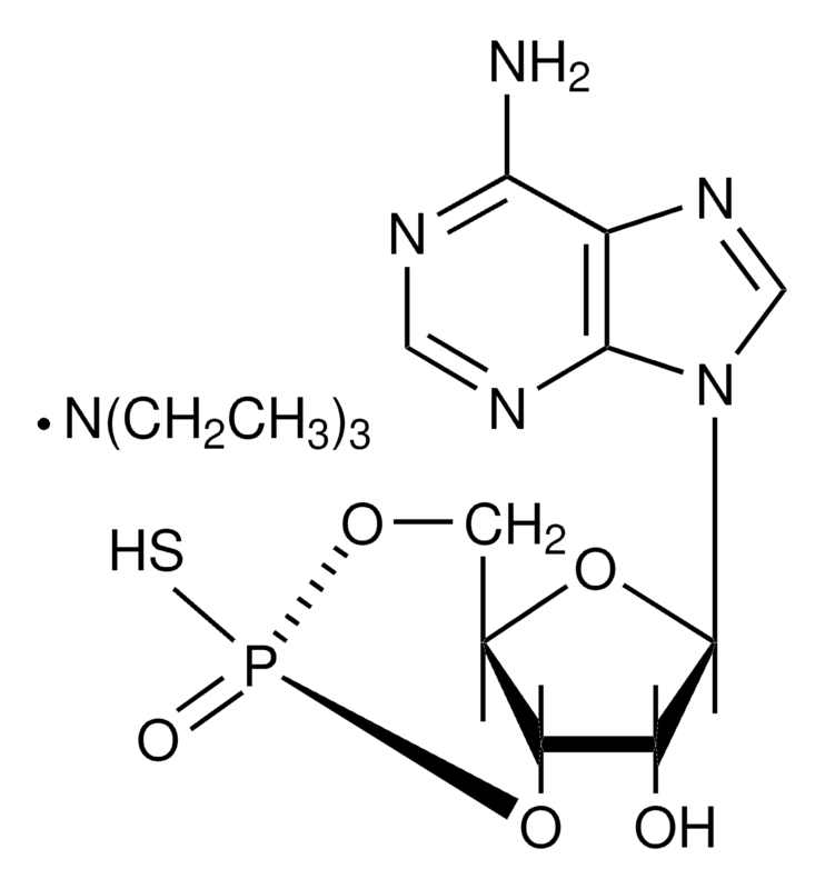 Merck Sp-Adenosine 3',5'-cyclic monophosphorothioate triethylammonium salt hydrate