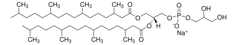 Merck 4ME 16:0 PG