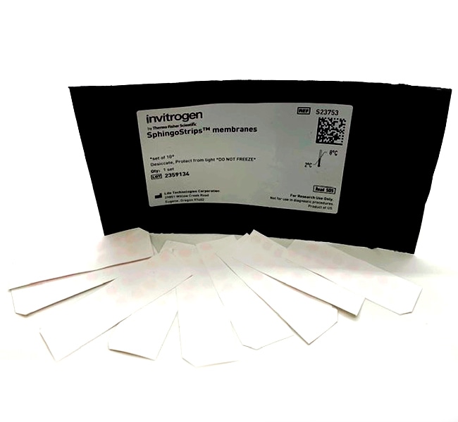 Thermo Fisher Scientific SphingoStrips Membranes