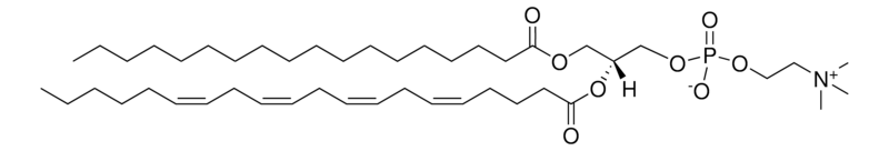 Merck 18:0-20:4 PC
