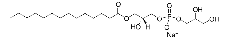 Merck 14:0 Lyso PG