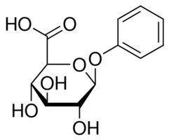 Merck PHENYL-B-D-GLUCURONIDE >=&