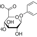 Merck PHENYL-B-D-GLUCURONIDE >=&