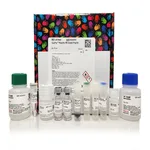 Thermo Fisher Scientific EasyPep Magnetic MS Sample Prep Kit, 20 reactions, 20 Reactions