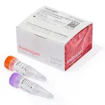 Thermo Fisher Scientific Lipofectamine CRISPRMAX Cas9 Transfection Reagent, 0.1 mL