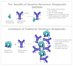 Merck MONOMERIC STREPTAVIDIN