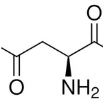 Merck L-ASPARAGINE, >=98% (HPLC)