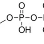 Merck GAMMA,GAMMA-DIMETHYLALLYL PYROPHOSPHATE