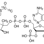 Merck ACETYL-1,2-13C2 COENZYME A LITHIUM SALT&