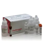 Thermo Fisher Scientific Aluora Spatial Amplification Streptavidin HRP Kit, 427/499 nm, 100 Reactions