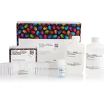 Thermo Fisher Scientific Pierce Dilution-Free Rapid Gold BCA Protein Assay, 500 mL