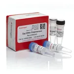 Thermo Fisher Scientific Taq DNA Polymerase, recombinant, 500 Units