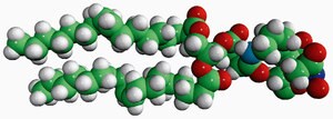 Merck 18:1 DGS-NTA(NI)