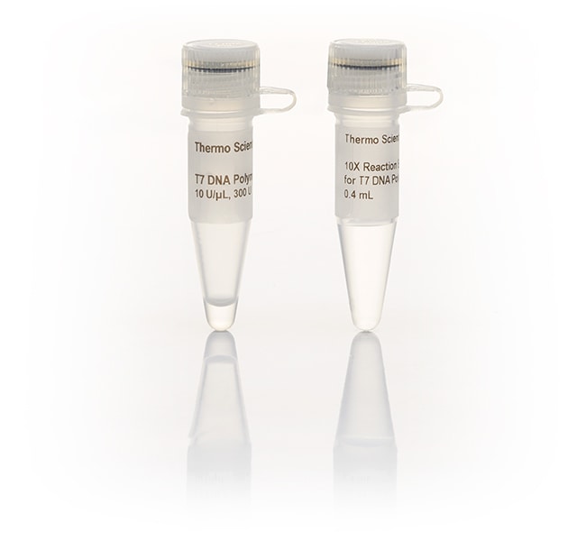 Thermo Fisher Scientific T7 DNA Polymerase (10 U/&mu;L)