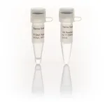 Thermo Fisher Scientific T7 DNA Polymerase (10 U/μL)