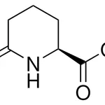 Merck (S)-6-Oxo-2-piperidinecarboxylic acid
