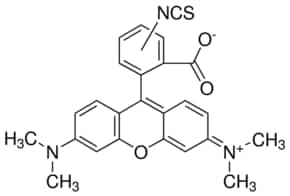 Merck TETRAMETHYLRHODAMINE ISOTHIOCYANATE MIX&