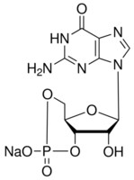 Merck GUANOSINE 3``:5``-CYCLIC MONOPHOSPHATE   &