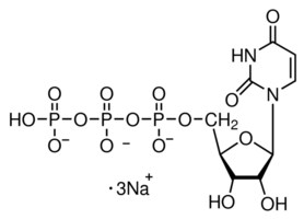 Merck URIDINE 5``-TRIPHOSPHATE TRISODIUM SALT