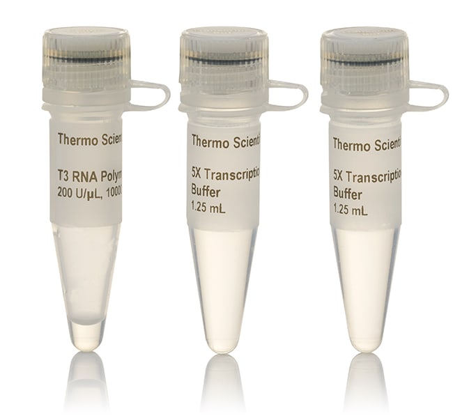 Thermo Fisher Scientific T3 RNA Polymerase, HC (&ge;100 U/&mu;L)