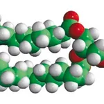Merck 16:0-12:0 NBD PC