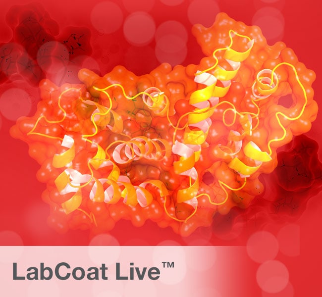 Thermo Fisher Scientific LabCoat Live Training Course for Protein Expression