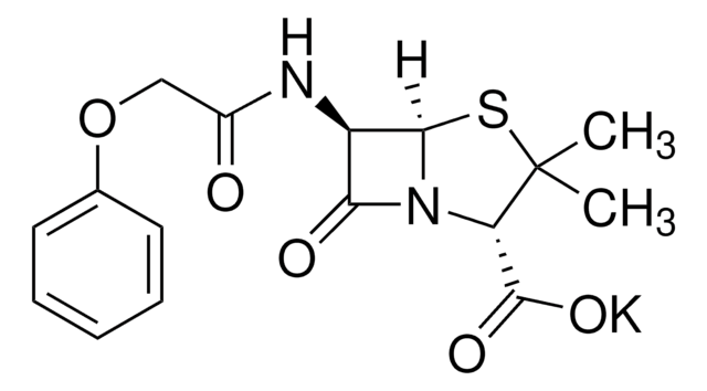 Merck PENICILLINE V POTASSIUM SALT