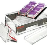Thermo Fisher Scientific Owl A2-OK Multiple Gel Electrophoresis System