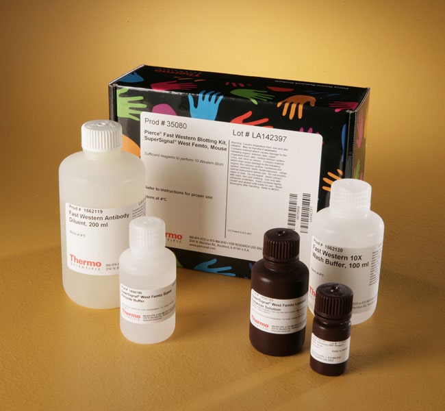 Thermo Fisher Scientific Pierce Fast Western Blot Kits, SuperSignal West Femto, Mouse