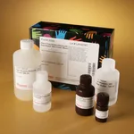 Thermo Fisher Scientific Pierce Fast Western Blot Kits, SuperSignal West Femto, Mouse