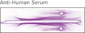 Merck RABBIT ANTI-HUMAN WHOLE SERUM
