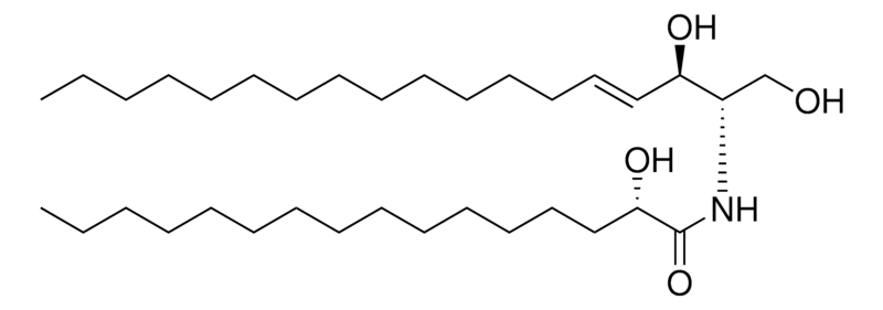 Merck 16:0(2S-OH) Ceramide