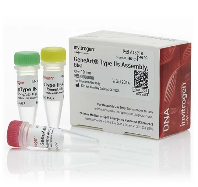 Thermo Fisher Scientific GeneArt Type IIs Assembly Kit, Bbs I