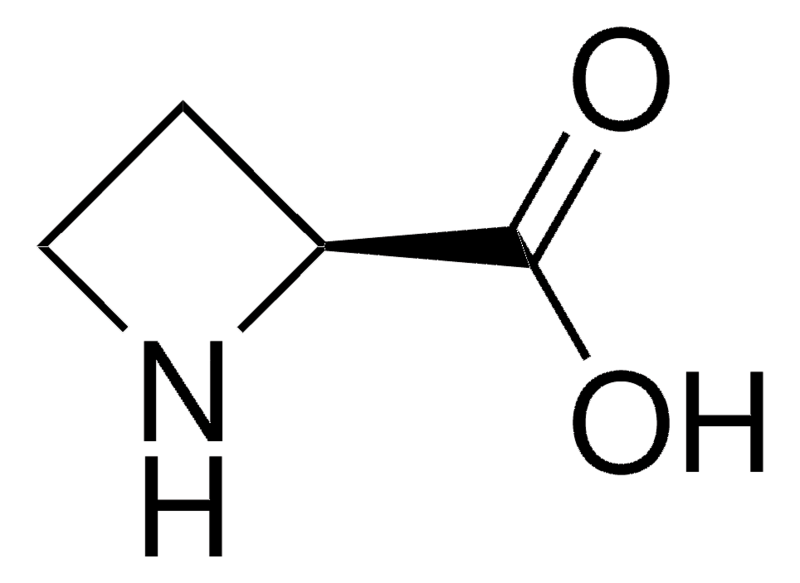 Merck L-Azetidine-2-carboxylic acid