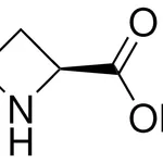 Merck L-Azetidine-2-carboxylic acid