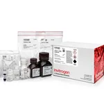 Thermo Fisher Scientific mirVana miRNA Isolation Kit, without phenol