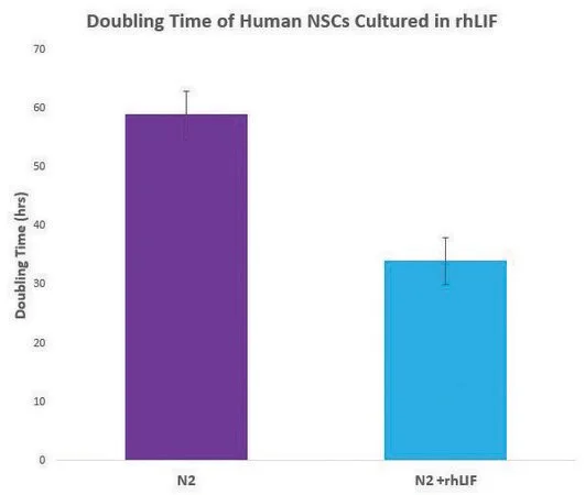 Merck Leukemia Inhibitory Factor human, animal component free