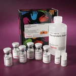 Thermo Fisher Scientific Pierce Glycoprotein Carbohydrate Estimation Kit